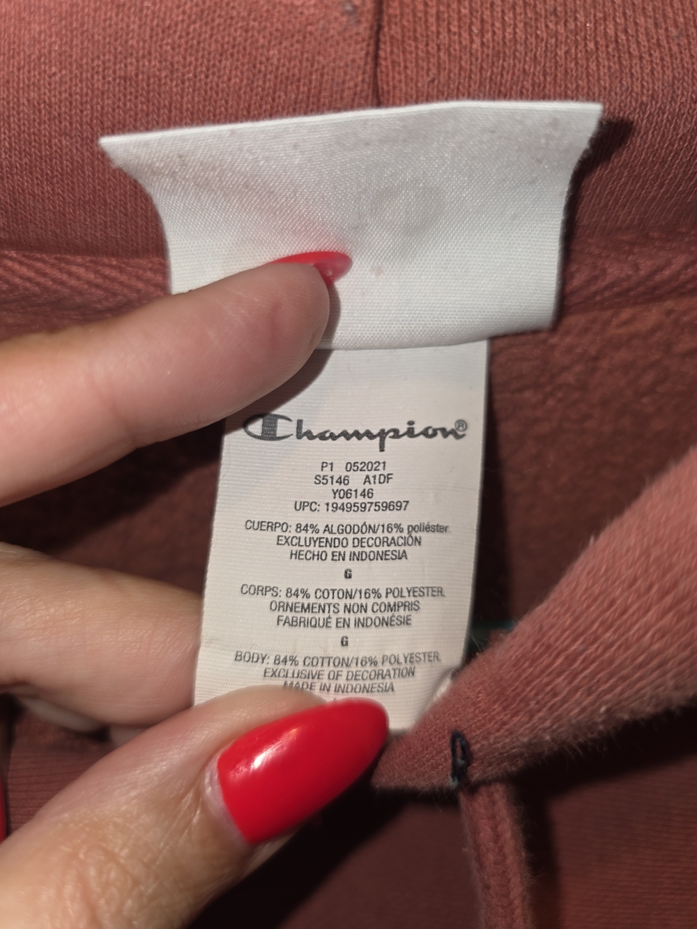Champion Dusty Rose Pullover Hoodie with Logo - Picture 4 of 6